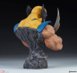 Preview: Wolverine Bust