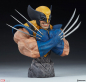 Preview: Wolverine Bust