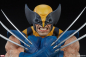 Preview: Wolverine Bust