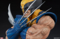 Preview: Wolverine Bust