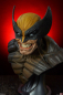 Preview: Wolverine Life-Size Büste