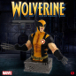 Preview: Wolverine Büste