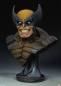 Preview: Wolverine Life-Size Büste