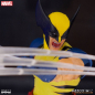 Preview: Wolverine