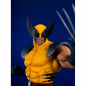 Preview: Wolverine PrototypeZ