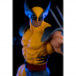 Preview: Wolverine PrototypeZ