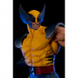 Preview: Wolverine PrototypeZ