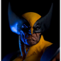 Preview: Wolverine PrototypeZ