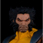 Preview: Wolverine PrototypeZ