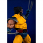 Preview: Wolverine PrototypeZ