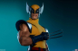 Preview: Wolverine