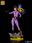 Preview: Wonder Twins Statuen 1:10 Art Scale Exclusive, DC Comics, 21 cm