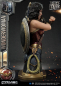 Preview: Wonder Woman Bust