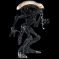 Preview: Xenomorph Mini Epics