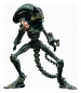 Preview: Xenomorph Warrior