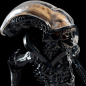 Preview: Xenomorph Mini Epics