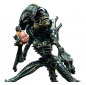 Preview: Xenomorph Warrior