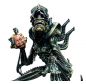 Preview: Xenomorph Warrior