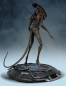 Preview: Covenant Xenomorph