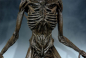 Preview: Covenant Xenomorph