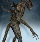 Preview: Covenant Xenomorph