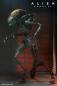 Preview: Ultimate Scorched Xenomorph Actionfigur, Alien: Romulus, 23 cm