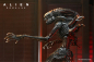 Preview: Ultimate Scorched Xenomorph Action Figure, Alien: Romulus, 23 cm