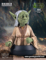 Preview: Yoda Concept Series