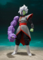 Preview: SHF Zamasu