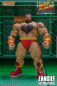 Preview: Zangief