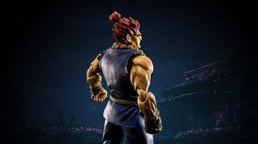 Akuma SHF