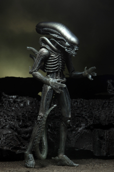 Alien 40th Anniversary