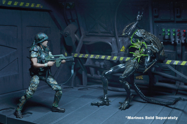 Aliens Series 12