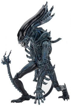 Alien Series 10