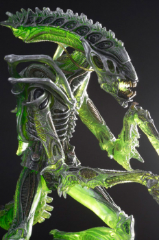 Alien Series 10