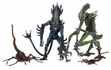 Alien Serie 10