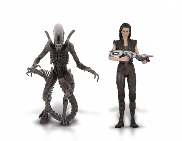 Alien Series 14