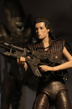 Alien Series 14