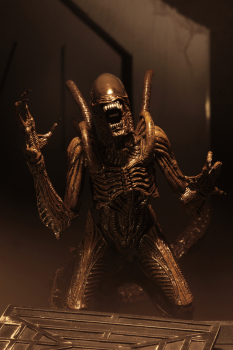 Alien Series 14