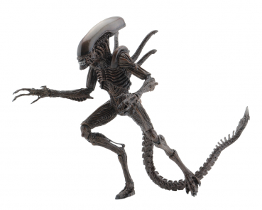 Alien Series 14