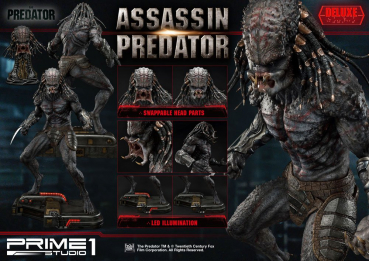 Assassin Predator