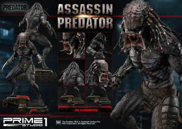 Assassin Predator