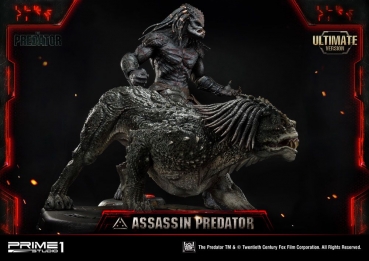 Assassin Predator