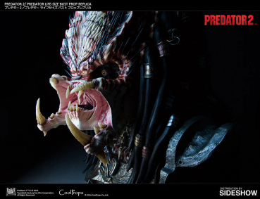 Predator Bust 1/1