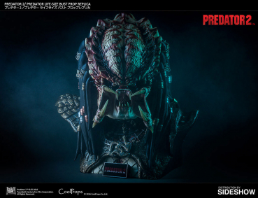 Predator Bust 1/1