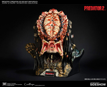 Predator Bust 1/1