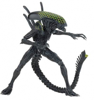 Alien vs. Predator 2-Pack