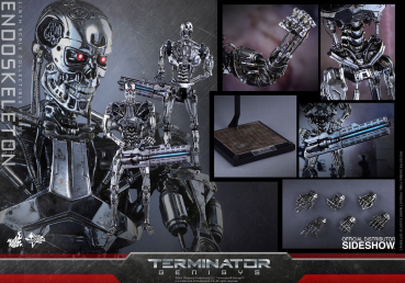 Endoskeleton 1/6