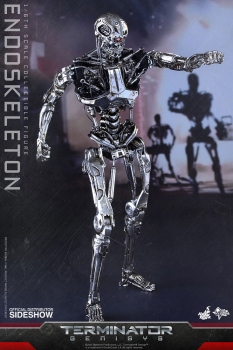 Endoskeleton 1/6