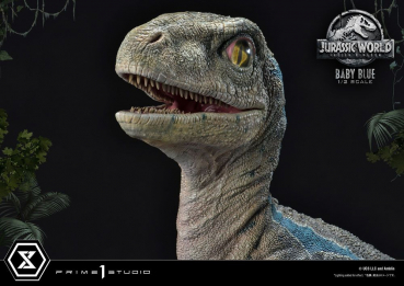 Baby Blue Statue 1:2 Prime Collectibles, Jurassic World: Das gefallene Königreich, 34 cm